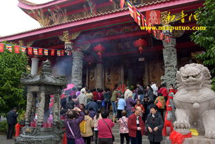 梵音缭绕庆佛诞 厦门启明寺供天法会暨两岸佛教文化艺术节千人斋活动圆满举办