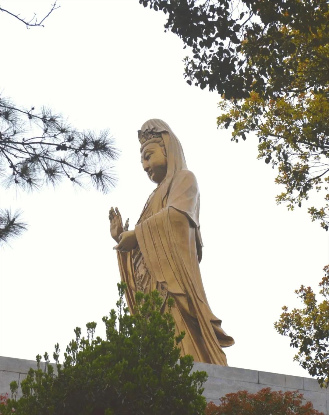 佛界顶流普陀山 跟着菩萨学产品，感悟佛教文化传播之道